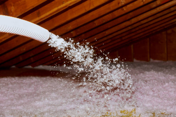 Professional Insulation Contractor in Piru, CA