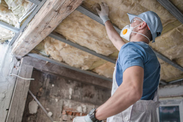 Types of Insulation We Offer in Piru, CA